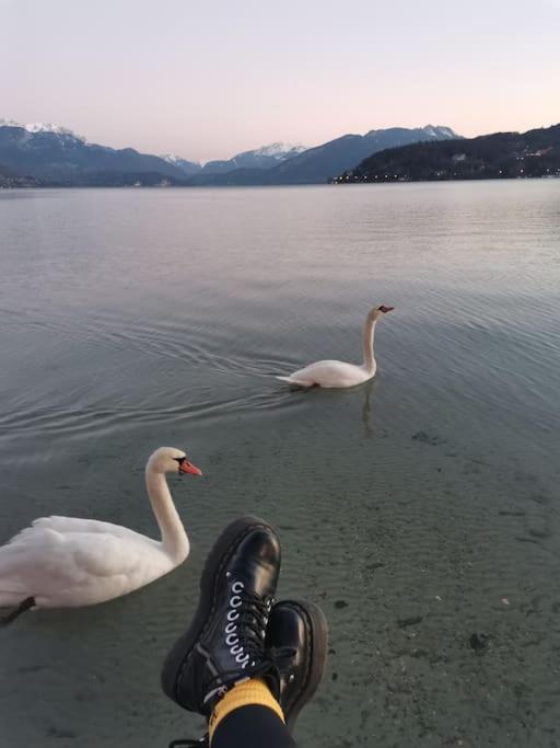 Apartmán Cocon A La Campagne,Proche Annecy Alby-sur-Cheran Exteriér fotografie
