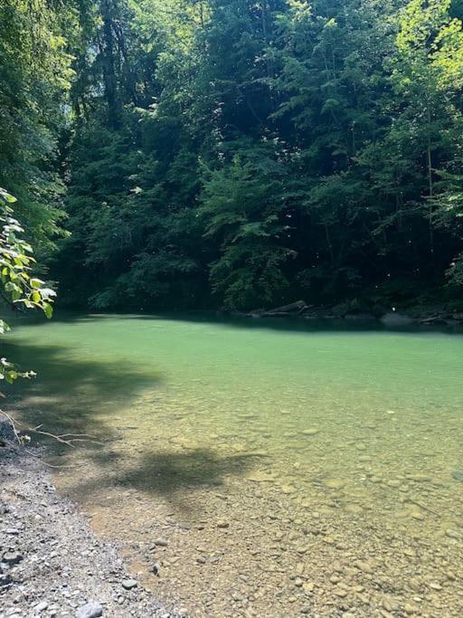 Apartmán Cocon A La Campagne,Proche Annecy Alby-sur-Cheran Exteriér fotografie
