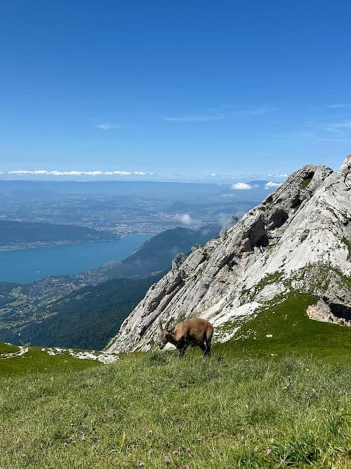 Apartmán Cocon A La Campagne,Proche Annecy Alby-sur-Cheran Exteriér fotografie