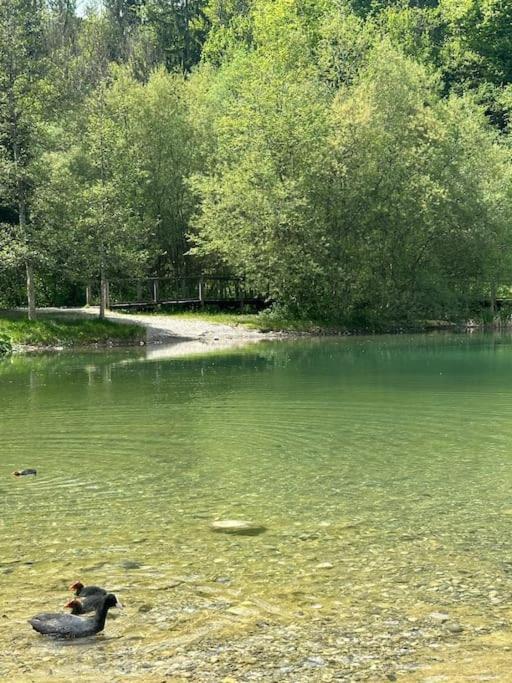 Apartmán Cocon A La Campagne,Proche Annecy Alby-sur-Cheran Exteriér fotografie
